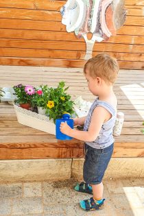 Gartenaktion am Sonntag den 4.Juni 2023