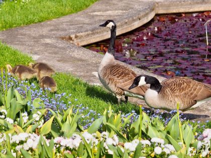 Konzeptionstag Mai 2023 im Botanischen Garten